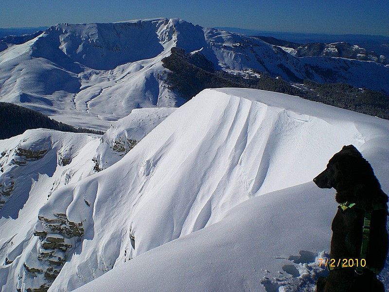 #6 Clot de Ginoux 6 : Du sommet, vue sur les Monges et le col de Clapouse. Clot de Ginoux 6 : Du sommet, vue sur les Monges et le col de Clapouse.