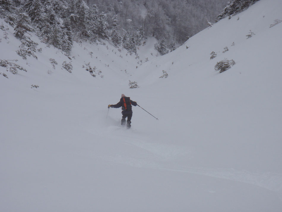 #4 Vallon : Bernard en pleine action ! Vallon : Bernard en pleine action !