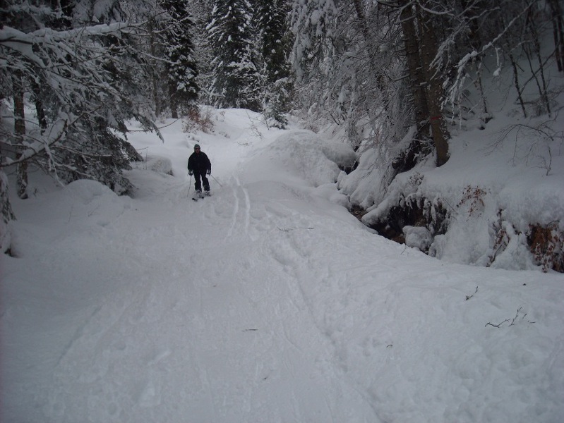 #3 descente dans la forêt : descente technique en forêt ! descente dans la forêt : descente technique en forêt !