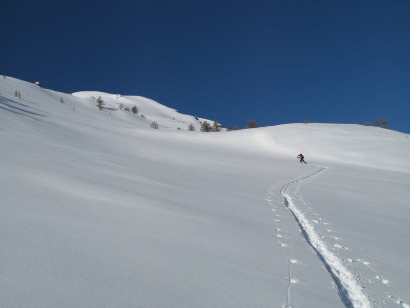 #6 montée : nous irons jusqu montée : nous irons jusqu'aux petits mélèzes les plus lointains
