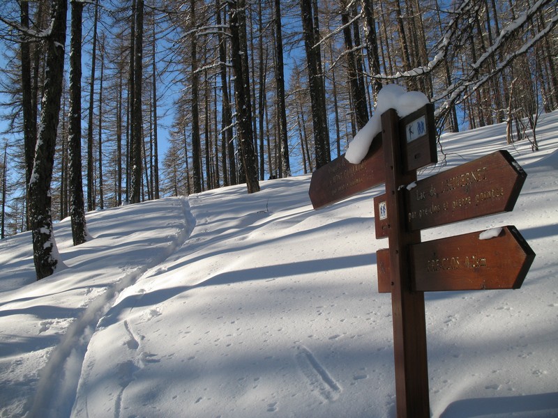 #2 sentier Widman : belle trace par le sentier sentier Widman : belle trace par le sentier