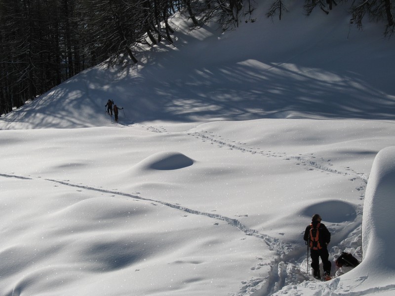 #4 trace par la croupe : nous poursuivons le plus possible dans le sous-bois trace par la croupe : nous poursuivons le plus possible dans le sous-bois
