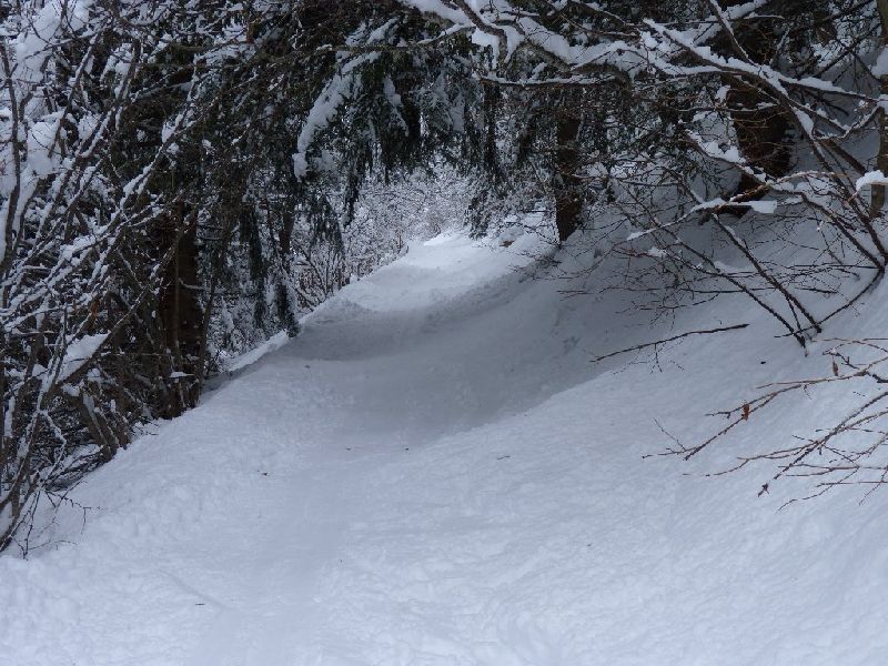 #2 Traversée dans les bois : La quantité de neige est suffisante à présent Traversée dans les bois : La quantité de neige est suffisante à présent