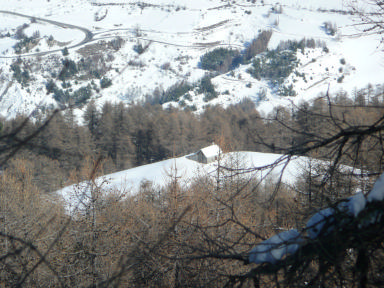 #10 Crete du Lauzet : Cabane de St Roch Crete du Lauzet : Cabane de St Roch