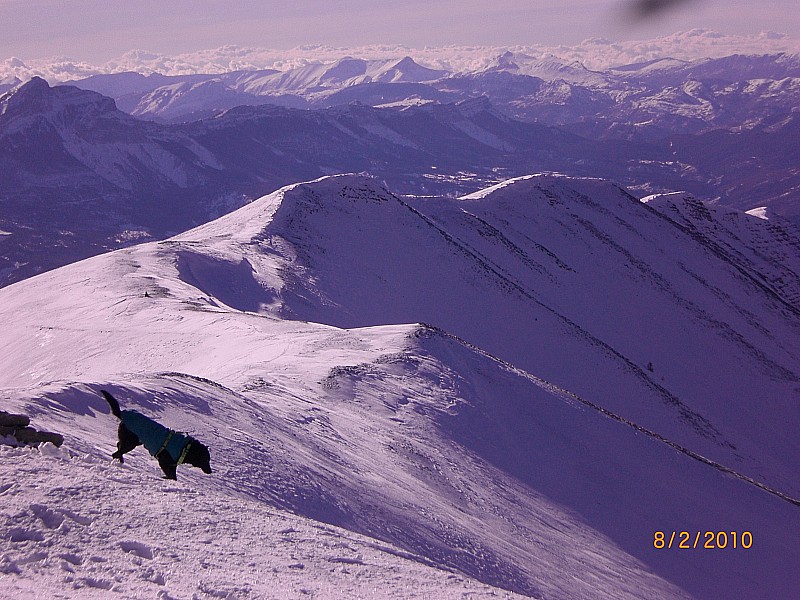 #3 Blayeul 3 : crête sommitale sud, vers Digne. Blayeul 3 : crête sommitale sud, vers Digne.
