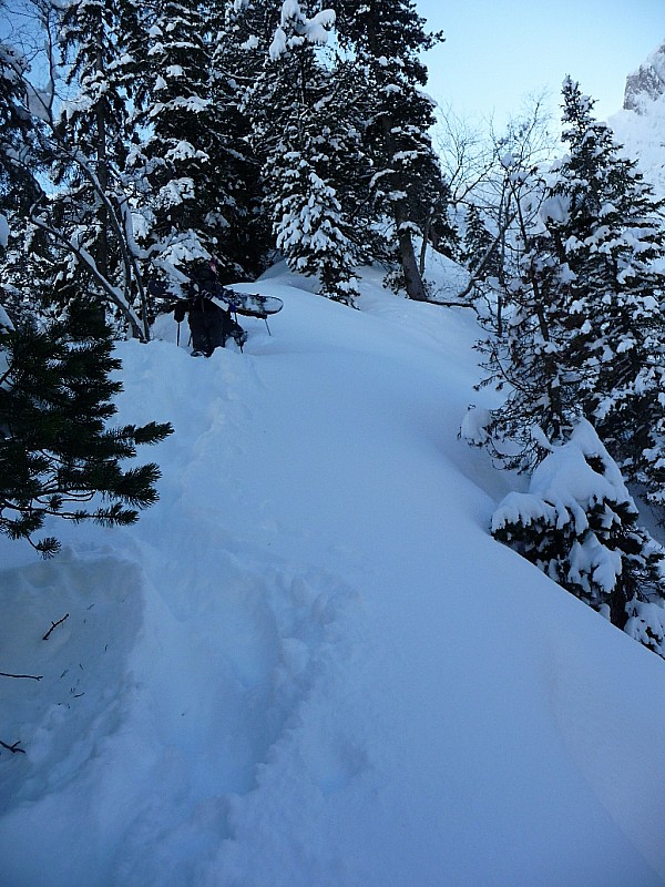 #14 col d col d'Armenaz couloir Nord : la remontée sur la crête boisée, parallèle au couloir : histoire de compliquer un peu encore la montée !!