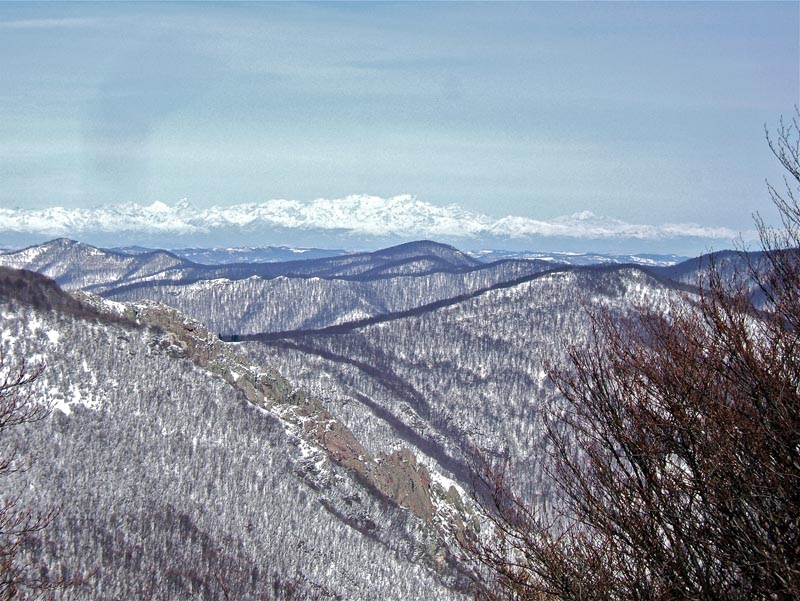 #13 Carmo : Mt Rose. Carmo : Mt Rose.