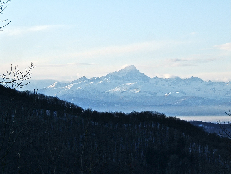 #16 Carmo : Majestueux Viso. Carmo : Majestueux Viso.