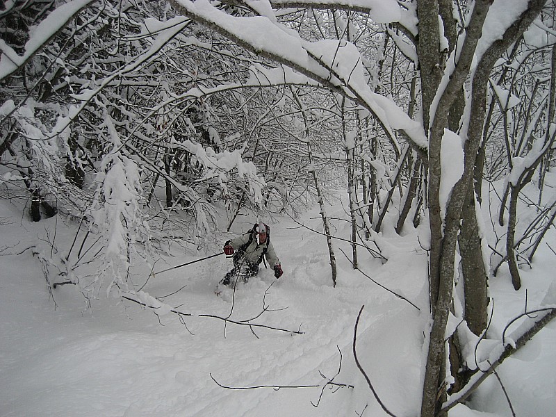#6 Couloir du Grand Raya : Ski physique dans le bas c Couloir du Grand Raya : Ski physique dans le bas c'est aussi ça les bauges !!