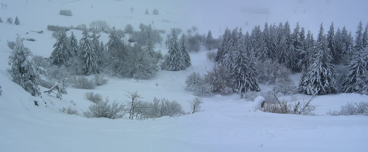 #1 La Renardière : Pas de Renard en vue!! La Renardière : Pas de Renard en vue!!