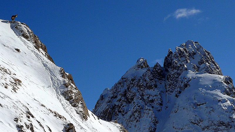 #1 Depuis le Col : Le Chamois, le nuage et la Meyna Depuis le Col : Le Chamois, le nuage et la Meyna