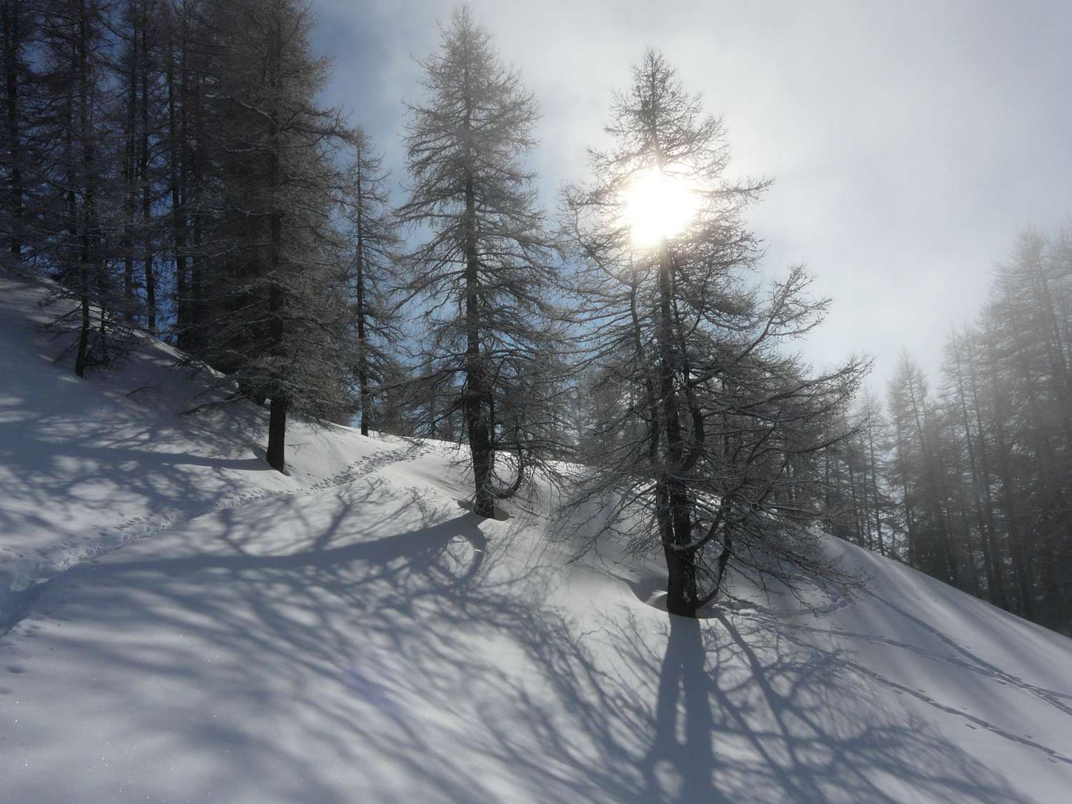 #1 contre jour : à proximité du col contre jour : à proximité du col