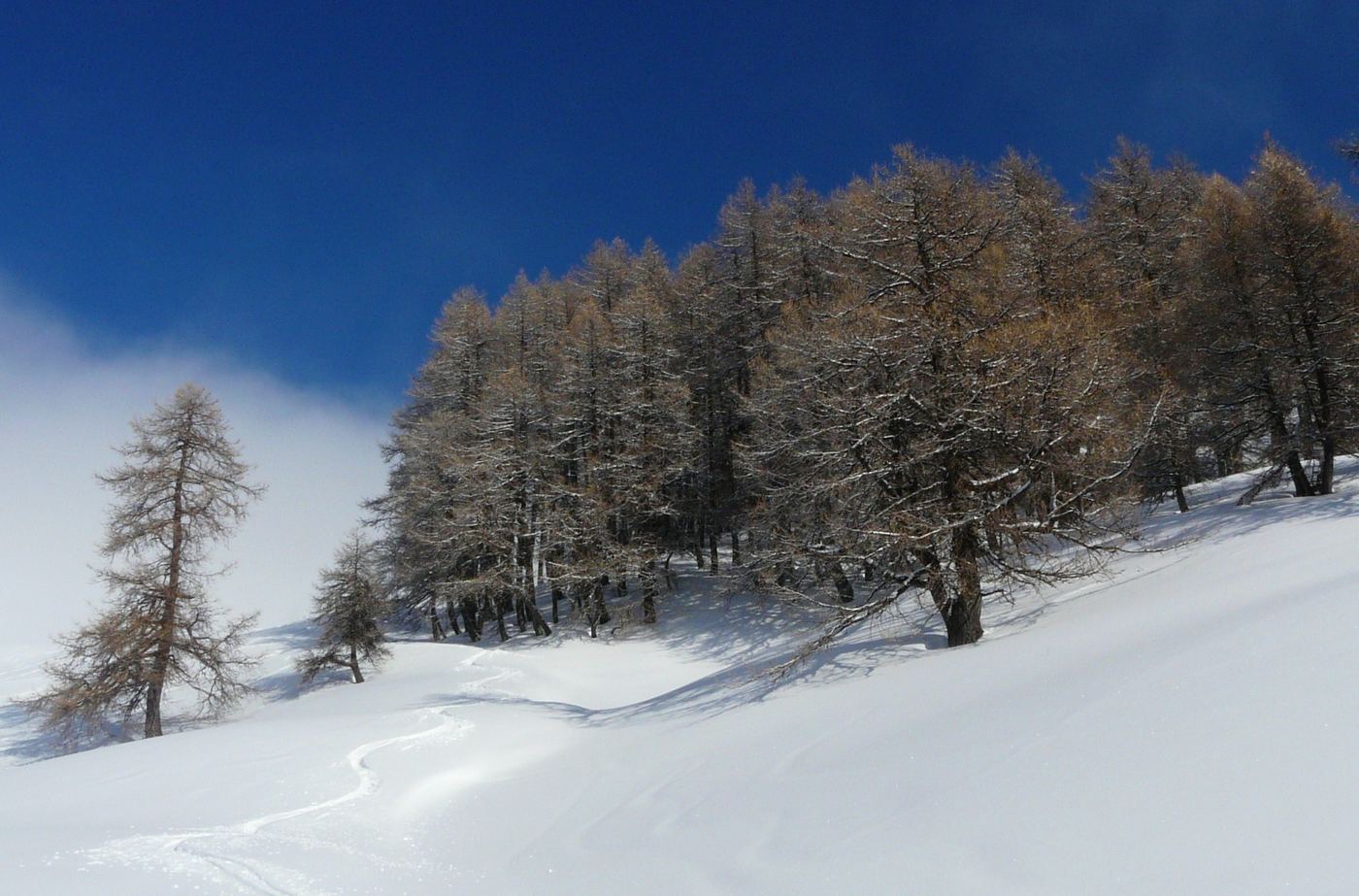 #2 descente il y a du bon descente il y a du bon