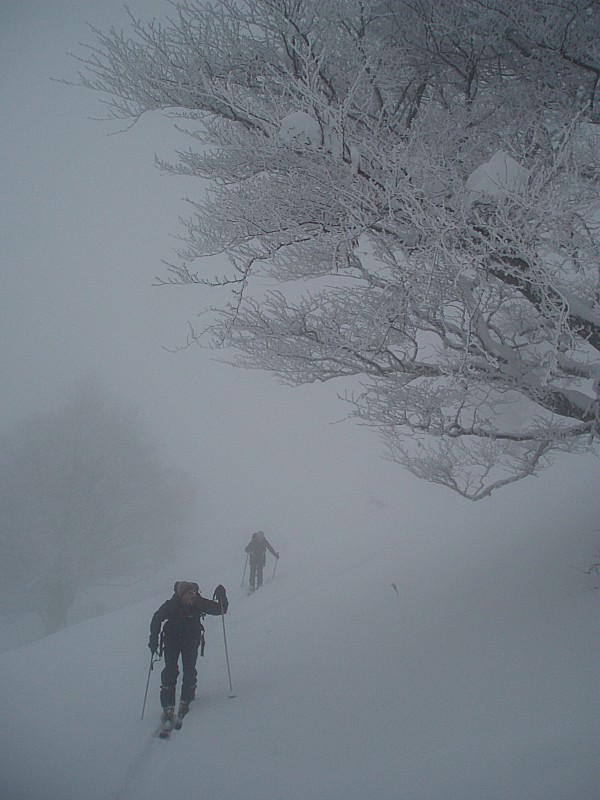 #3 jour blanc : Super visibilité sur l jour blanc : Super visibilité sur l'ensemble du massif ;o(