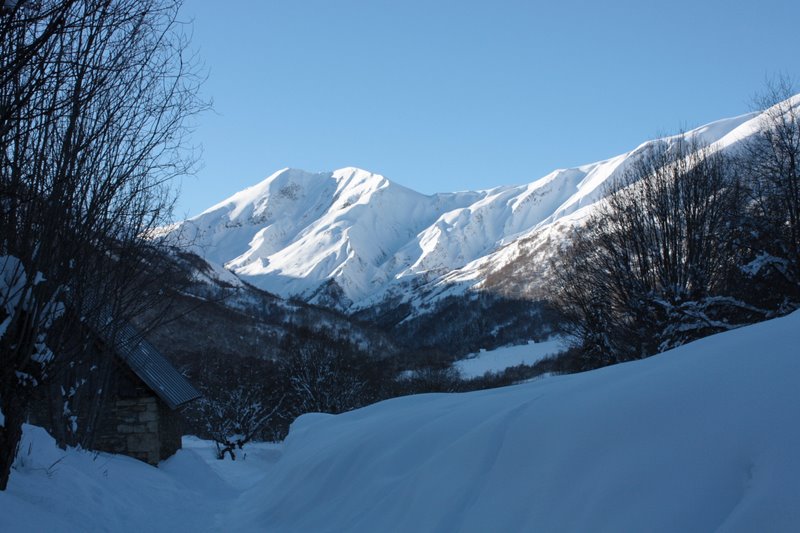 #1 col de la vallette : pendant l col de la vallette : pendant l'approche "ski de fond". L'objectif c'est la pente au soleil à droite derrière les arbres.