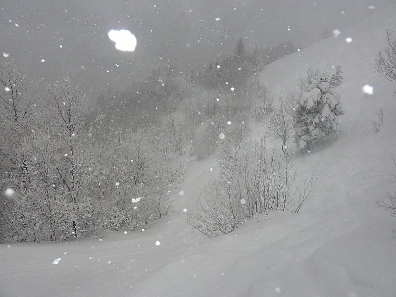 #5 Bachasson : Et encore de la neige ... Bachasson : Et encore de la neige ...