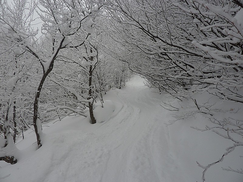 #2 Sous bachasson : Le chemin sous la neige : magnifique ... Sous bachasson : Le chemin sous la neige : magnifique ...