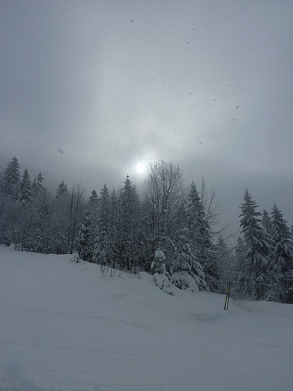 #10 Piste : 2ième montée : espoir vite déçu Piste : 2ième montée : espoir vite déçu