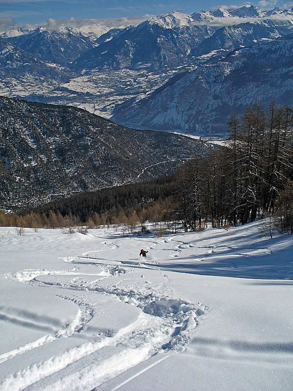 #4 Clotinaille: descente : Vers 2000m, on quitte les prairies pour les mélèzes. Clotinaille: descente : Vers 2000m, on quitte les prairies pour les mélèzes.