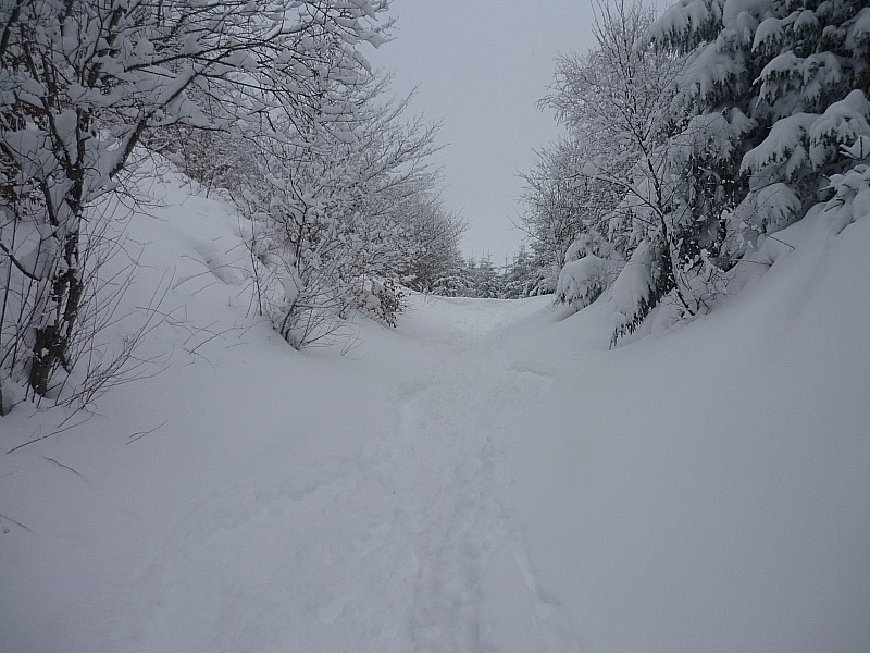 #3 Chemin des muletiers : 30cm parfois + de neige fraiche ... sur les muletiers!!!
qu Chemin des muletiers : 30cm parfois + de neige fraiche ... sur les muletiers!!!
qu'attendez vous les Auvergnats!