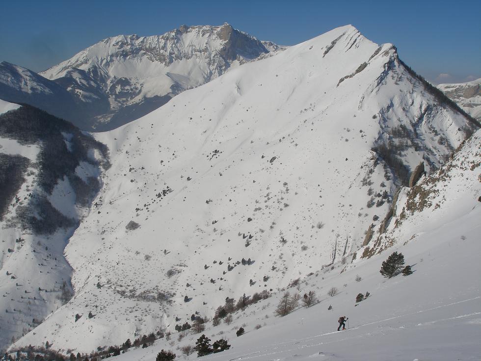 #5 loulou en fini : pic melette bien blanc loulou en fini : pic melette bien blanc