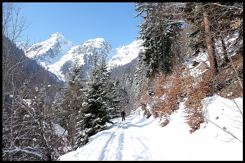 #10 N°10 : Dans la forêt N°10 : Dans la forêt