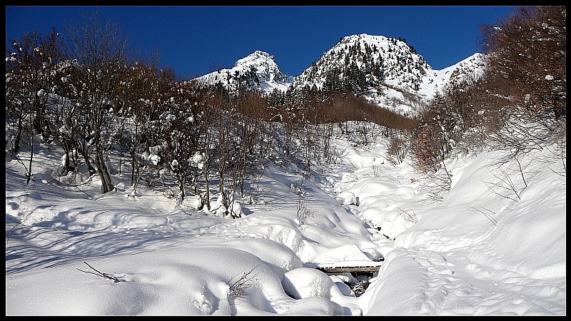 #1 A la sortie de la forêt... A la sortie de la forêt...