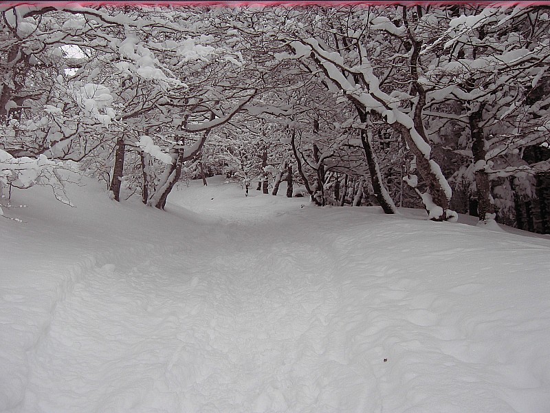 #1 depart du chemin : Pas mal de neige tombée ces deux derniers jours depart du chemin : Pas mal de neige tombée ces deux derniers jours
