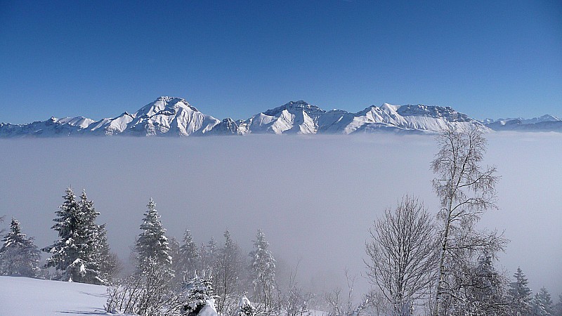 #1 Trélod et Arcalod : on sort du smog Trélod et Arcalod : on sort du smog