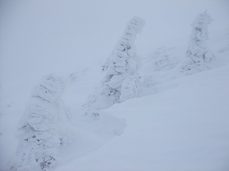 #5 Puy de Dôme : Ambiance polaire au sommet : Le vent et le givre ont bien fait leur travail. Puy de Dôme : Ambiance polaire au sommet : Le vent et le givre ont bien fait leur travail.