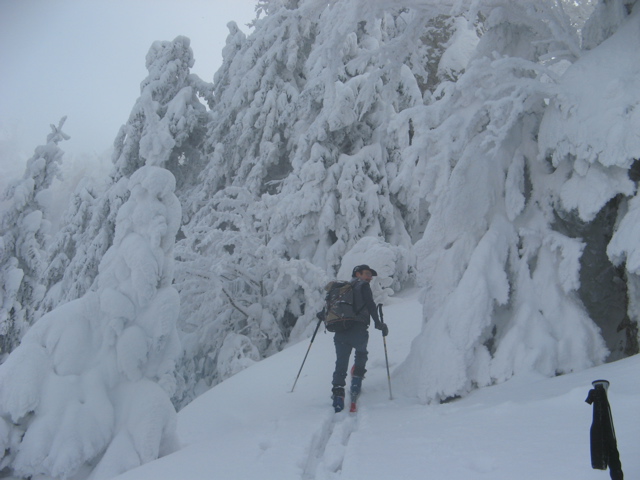 #6 Dans le frigidaire : Vallon de Valombré Dans le frigidaire : Vallon de Valombré