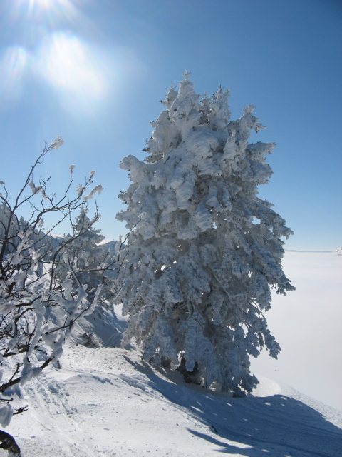 #11 Sur l Sur l'arete de chamechine : Réchauffement climatique?