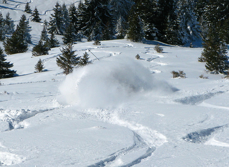 #8 Nico déguste la poudreuse : c Nico déguste la poudreuse : c'est dans ce cas qu'on dit "avoir de la poudre jusqu'aux oreilles"? ;-)