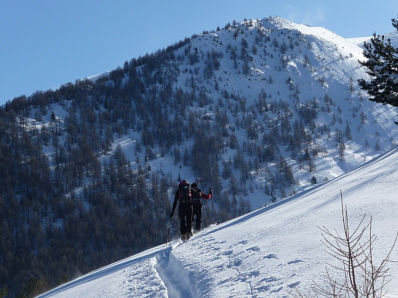 #3 Montagne de boule : au dessus de la 1ere cabane de baisse Montagne de boule : au dessus de la 1ere cabane de baisse