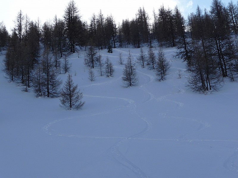 #11 Montagne de boule : Trace versant nord Montagne de boule : Trace versant nord