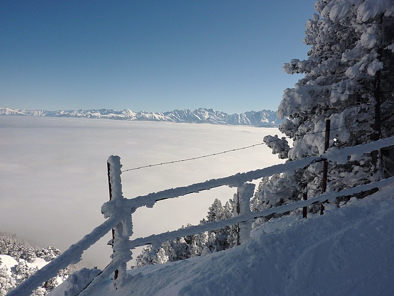 #2 vue sur Belledonne : la mer de nuages a l vue sur Belledonne : la mer de nuages a l'air de vouloir rester bien sage et rester là où elle est!