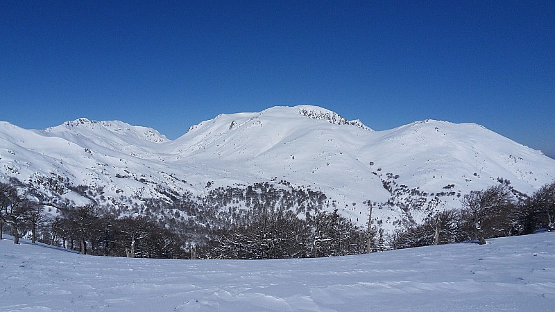 #4 scaldasole,les pozzi,tortu... : tortu et orlandinu ont l scaldasole,les pozzi,tortu... : tortu et orlandinu ont l'air en meilleurs conditions que la semaine dernière