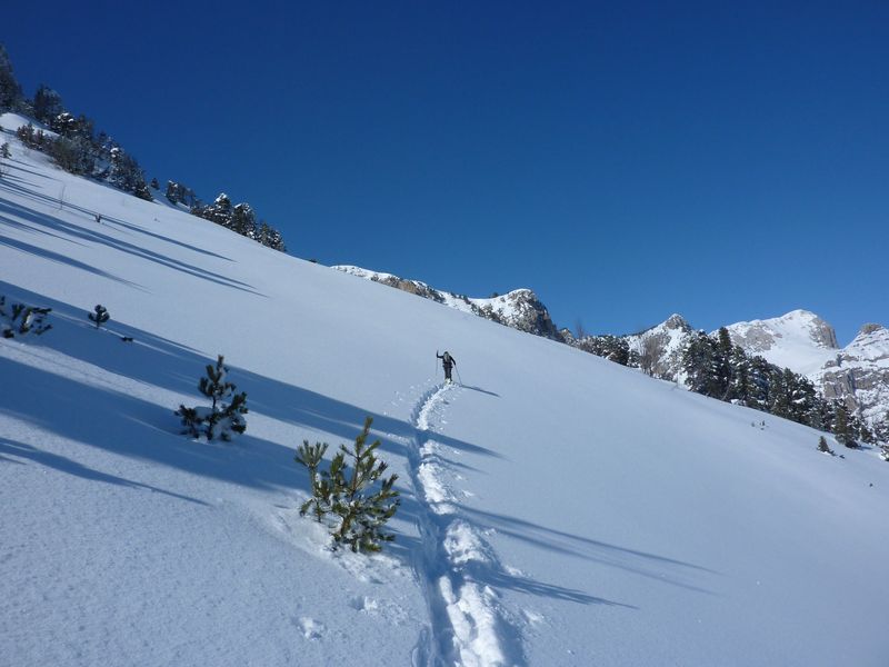 #4 Neigerome : En avant pour venir buter sous la falaise du parquet Neigerome : En avant pour venir buter sous la falaise du parquet