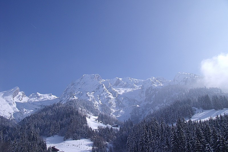 #6 Etale : Qu Etale : Qu'elle est belle cette étale en plein soleil!!!