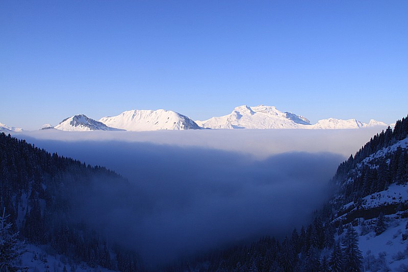 #5 Brouillard : En sortant du Brouillard (la Tournette en arrière-plan) Brouillard : En sortant du Brouillard (la Tournette en arrière-plan)