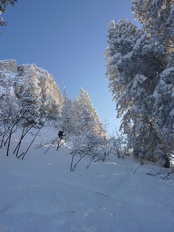#4 Descente : Avant de rejoindre la brouillasse Descente : Avant de rejoindre la brouillasse