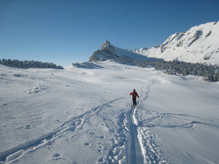 #19 Grandes étendues : Comme on l Grandes étendues : Comme on l'aime cette Chartreuse !