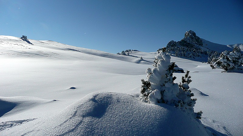 #13 Traversée vers les Lances : Ah ! Que de beaux paysages en Chartreuse ! Traversée vers les Lances : Ah ! Que de beaux paysages en Chartreuse !
