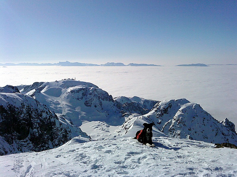 #2 Pointe de la Vaudaine : sommet et Chamrousse Pointe de la Vaudaine : sommet et Chamrousse