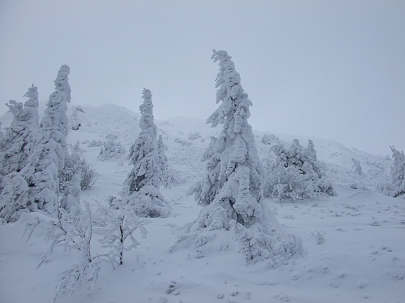 #2 Puy de Dôme : Versant nord : ambiance... Puy de Dôme : Versant nord : ambiance...