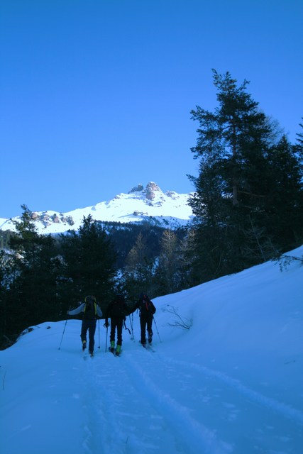 #1 Les Crousas : Jolie vue depuis la longue piste du Bois Durat Les Crousas : Jolie vue depuis la longue piste du Bois Durat