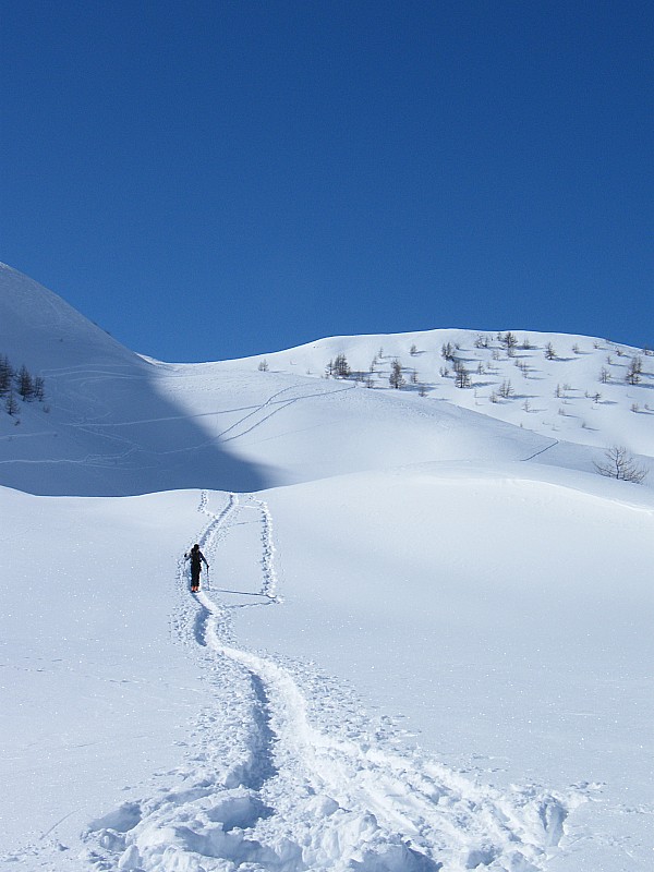 #3 Enfin le soleil : peu avant le Col de la Gardette Enfin le soleil : peu avant le Col de la Gardette