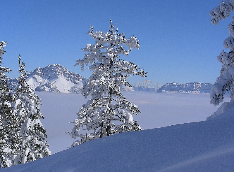Grand Som : Grand Som, Mont Blanc, Lances de Malissard et mer de nuages