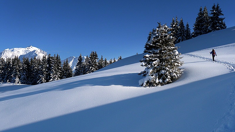 #3 Au dessus du Col de Jaillet Au dessus du Col de Jaillet