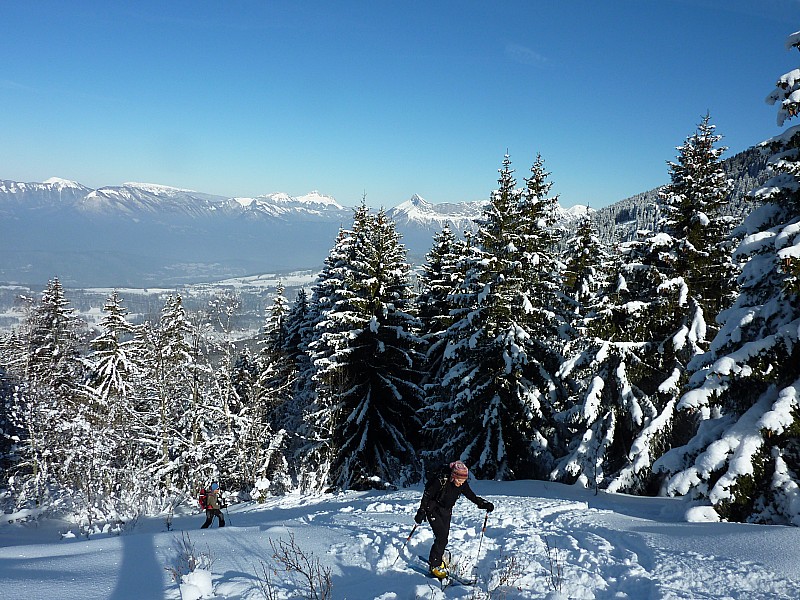 #2 Chapotet : Sortie de la forêt. Trop à l Chapotet : Sortie de la forêt. Trop à l'Est.